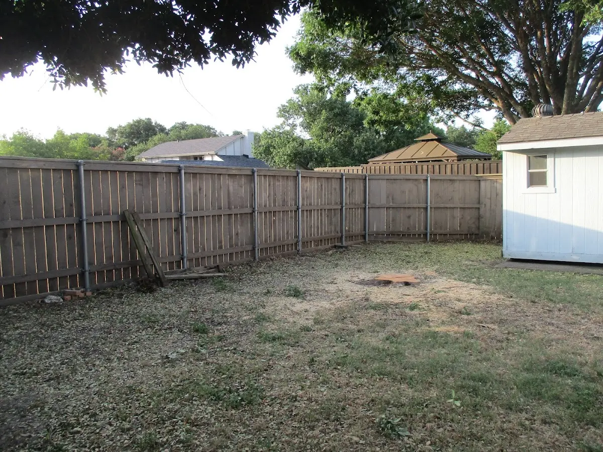 Cleared yard after professional tree removal in Copalis Crossing